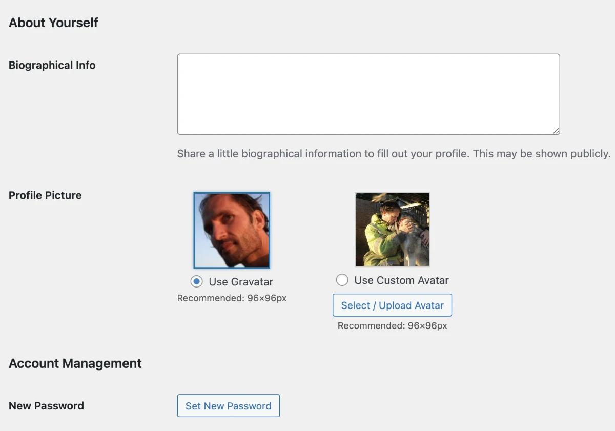 Custom avatar code snippet WordPress