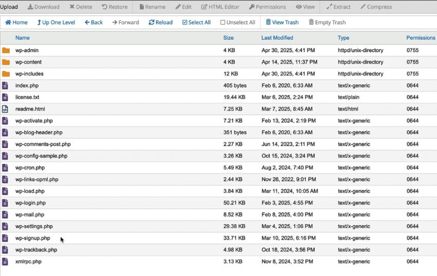 File Manager - new WordPress web site