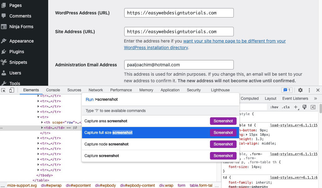 Inspect browser Run Command Capture full size screenshot WordPress General Settings