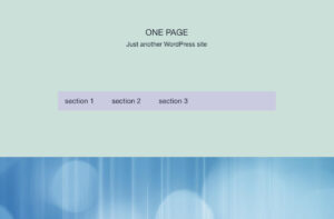 One page WordPress site