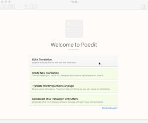 Poedit 2 Pro Translate WordPress