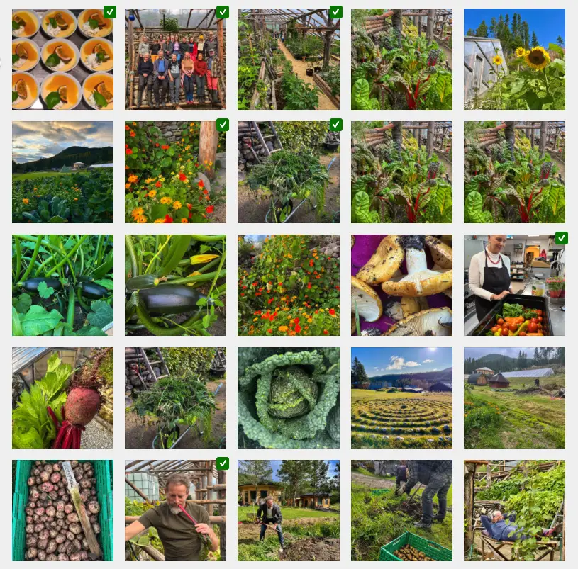 Usage indicators top right of media library images