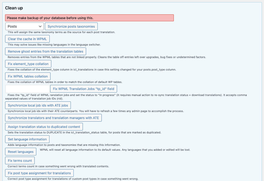 WPML support troubleshooting Clean up section WordPress plugin